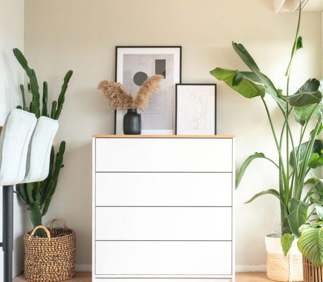 Front Ansicht der Kommode Sven